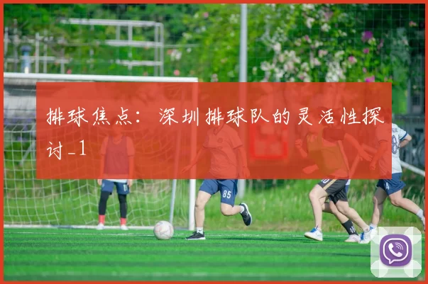 排球焦点：深圳排球队的灵活性探讨_1
