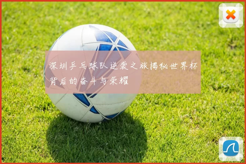 深圳乒乓球队逆袭之旅揭秘世界杯背后的奋斗与荣耀