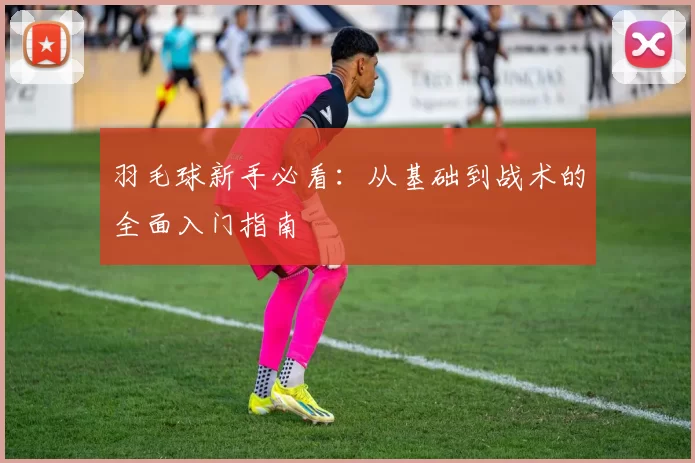 羽毛球新手必看：从基础到战术的全面入门指南