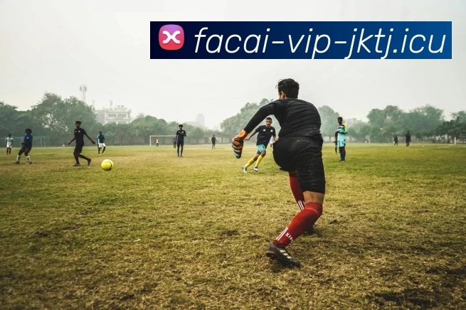 华体会体育注册平台生态图